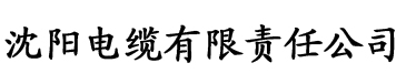 宅男盒子2019电缆厂logo